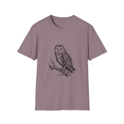 Barn Owl Ink Study