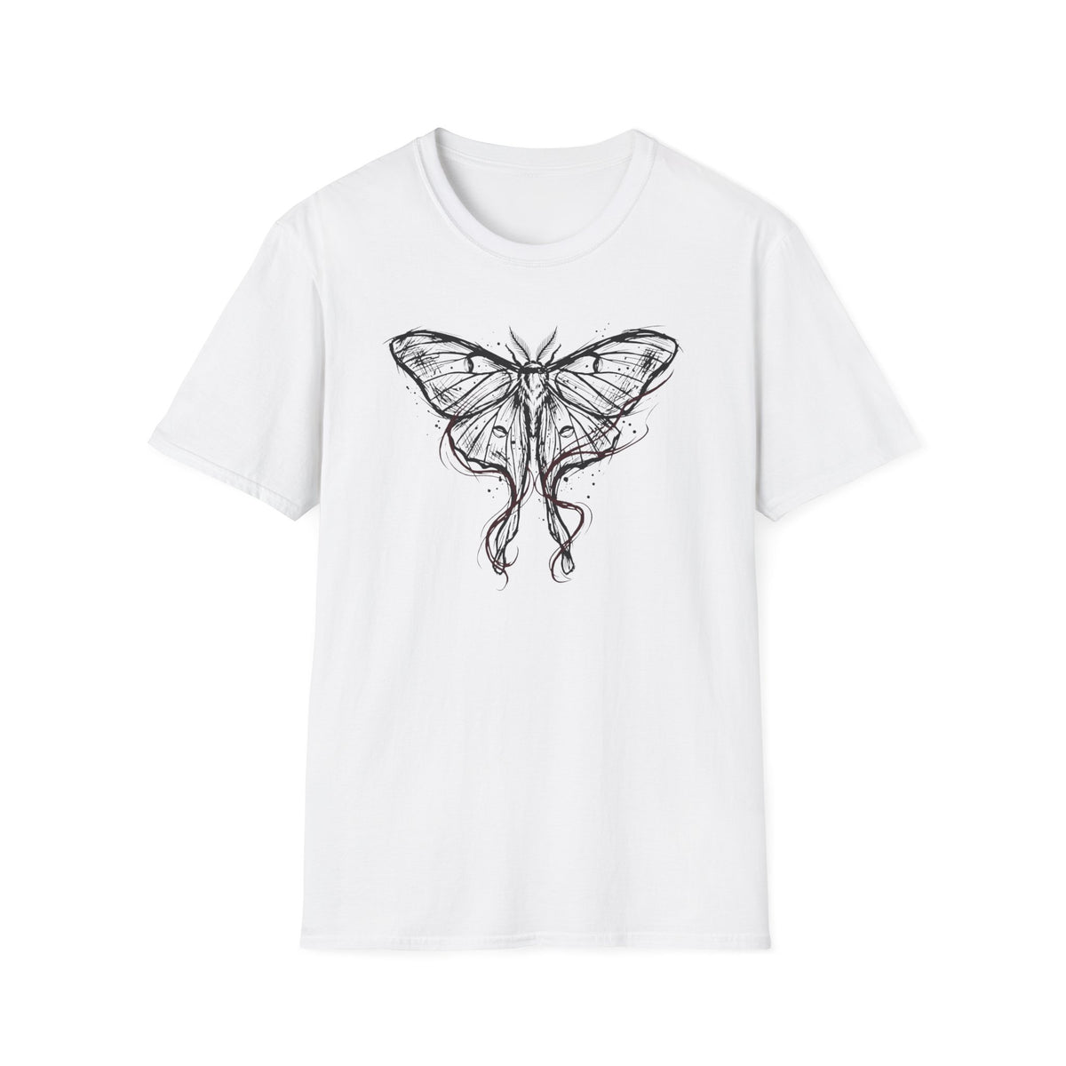 Ribbon Moth Study